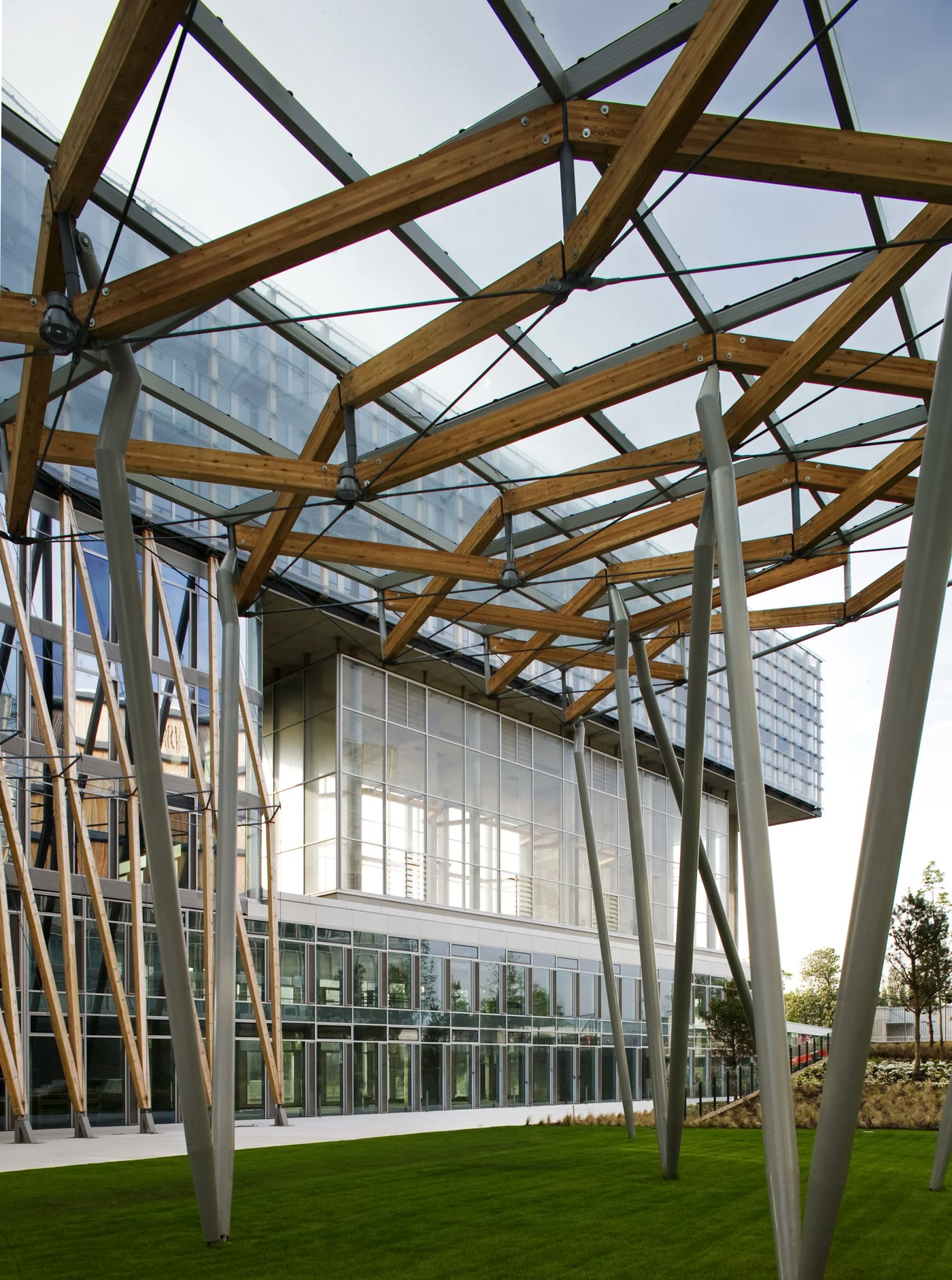 Looking up through the crossing glulam timber struts of the Elm Park canopy