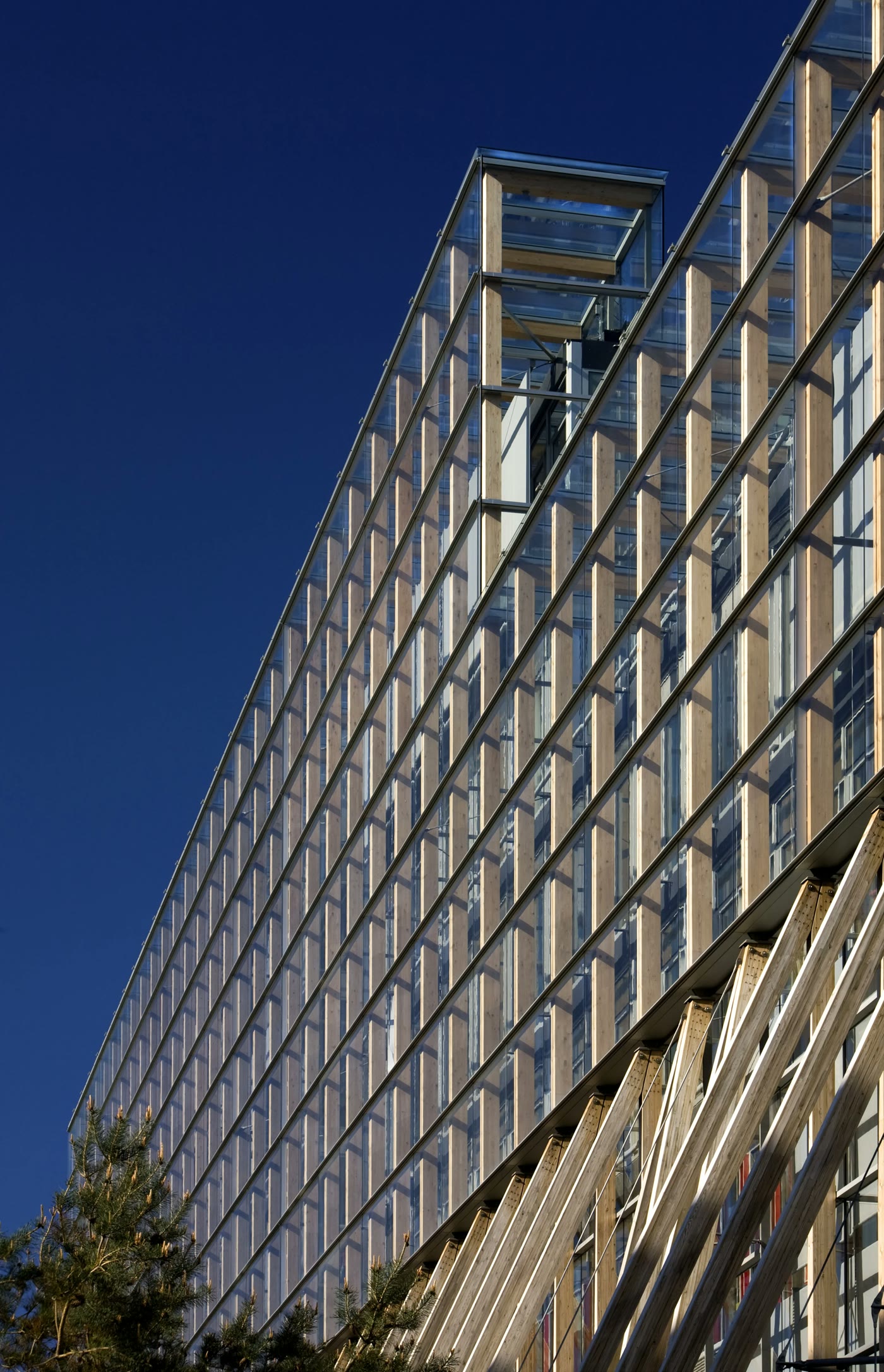 The glass double-skin facade of the Elmpark Green buildings