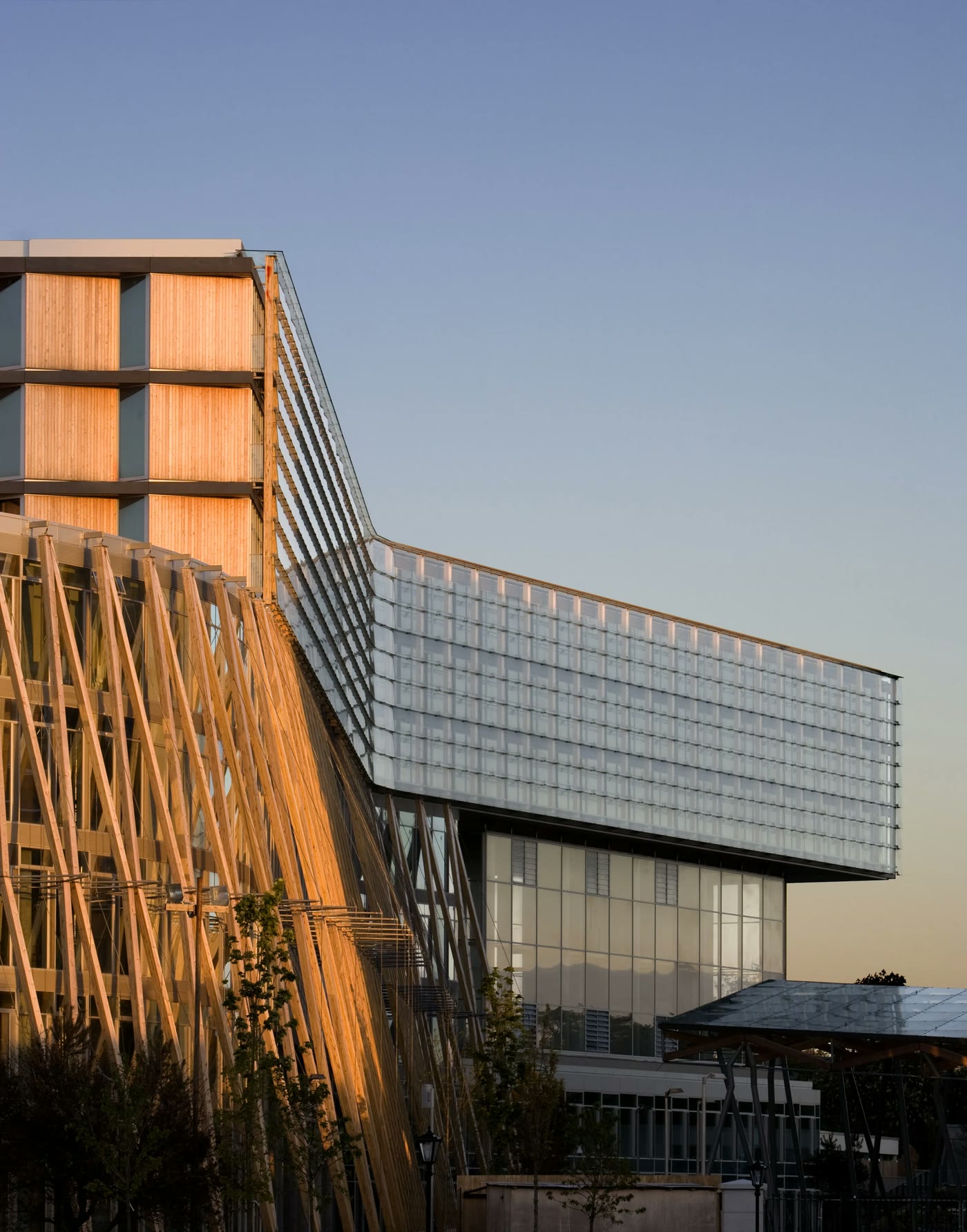 The timber-clad tower against the glass facade