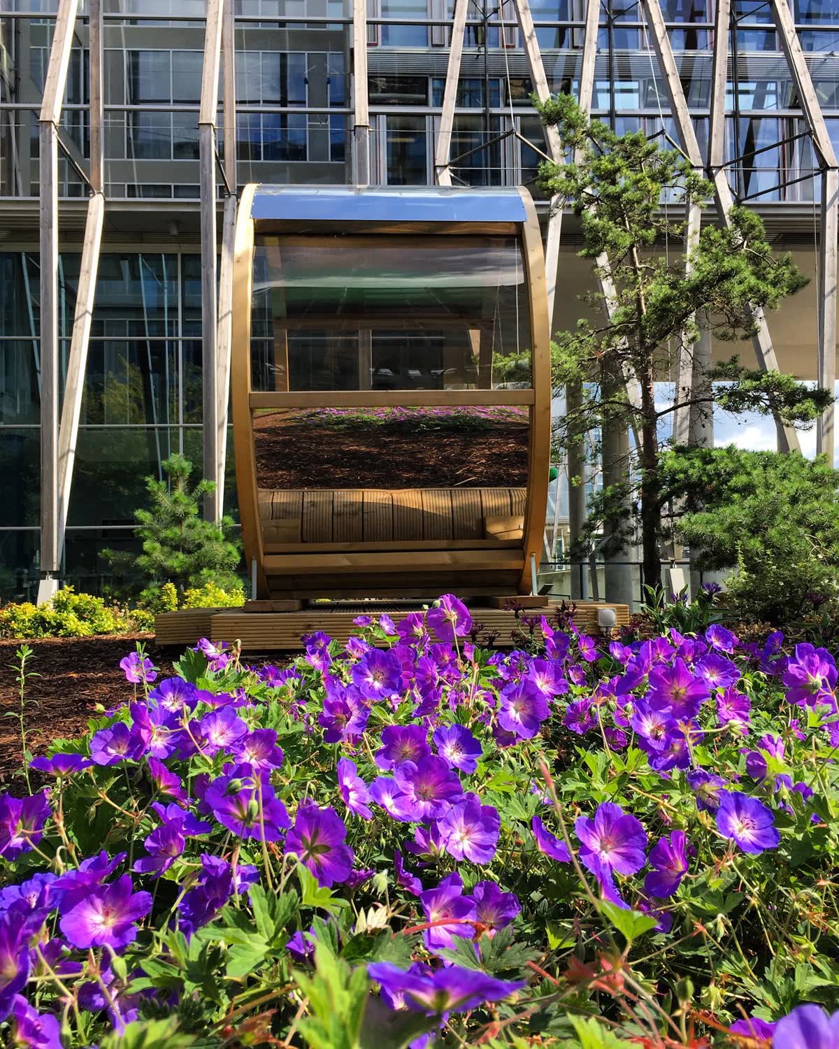 The garden pod seat among the purple geraniums in the courtyard