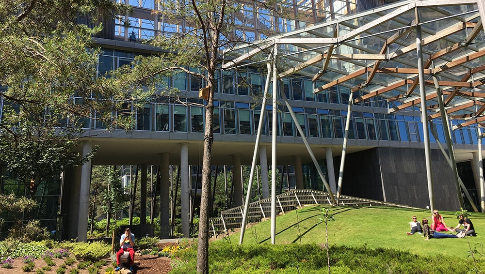 People relaxing on the grass beneath the timber canopy
